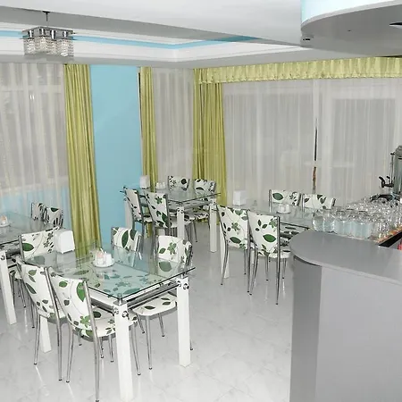 Hotel Volkii 1